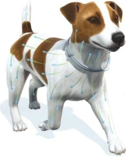 Seresto Vlooien En Tekenband - Grote Hond - >8 Kg -Huisdierbenodigdheden 968x1200 2