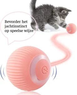 Otiume Slimme Katten Speeltje - Interactieve Zelf Rollende Bal Voor Katten - Kattenspeeltjes - USB Oplaadbaar- Turquoise -Huisdierbenodigdheden 968x1200 7