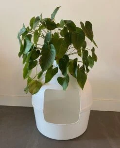 XXL Kattenbak – Verborgen Kattentoilet – Flower XXL Wit Voor Grote Katten Van RHRQuality -Huisdierbenodigdheden 970x1200 8