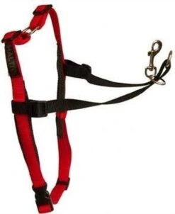 Company Of Animals Halti Harnass Hondentuigje - Anti Trektuigje - M - 60 Tot 80 Cm – Zwart